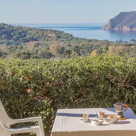 Le Essenze Di By Elbasummer Lacona