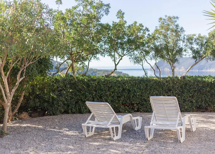 Le Essenze Di By Elbasummer