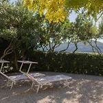 Le Essenze Di By Elbasummer Apartment Lacona